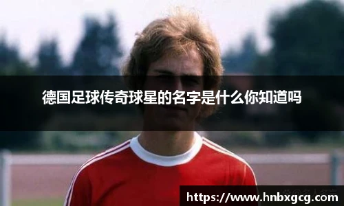 智博19有限公司