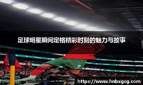 智博19有限公司